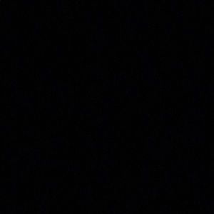 Meet your Posher, Charles